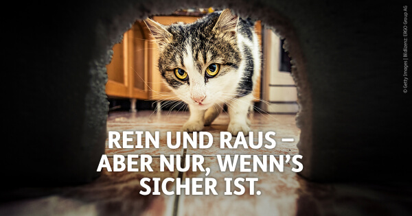 Machen Sie mehr aus Ihren Mäusen!